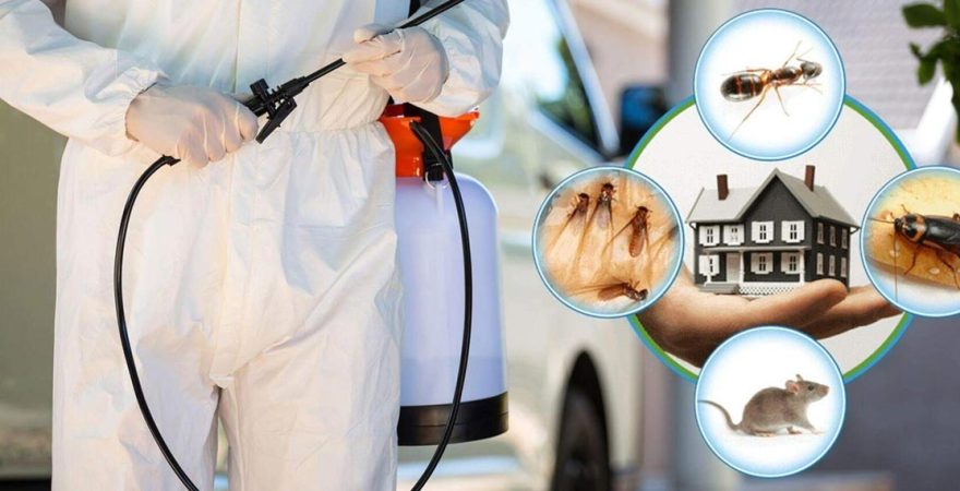 Başkale Böcek İlaçlama