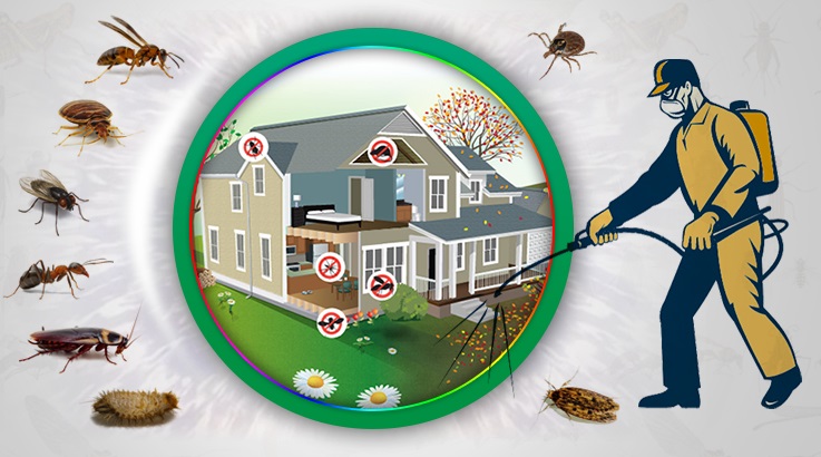 Başkale Böcek İlaçlama