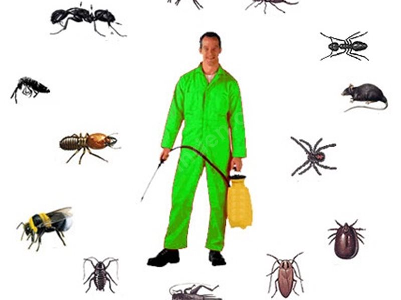 Başkale Böcek İlaçlama